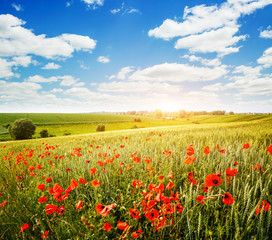 Captivating scene of the countryside with white fluffy clouds.