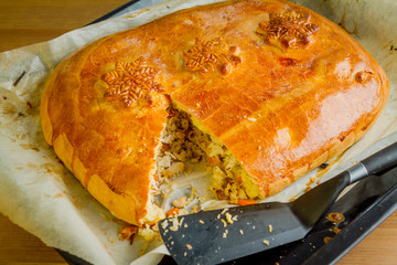 Chicken & Rice Cake 3