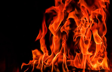 Flames of fire on a black background. The mystery of fire.