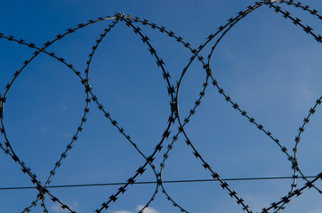 Metal barbed wire on a blue sky with white clouds