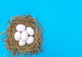 Eggs in the straw nest on blue. Top view. Copy space.
