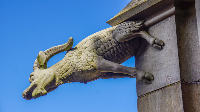 goat gargoyle of ulm minster