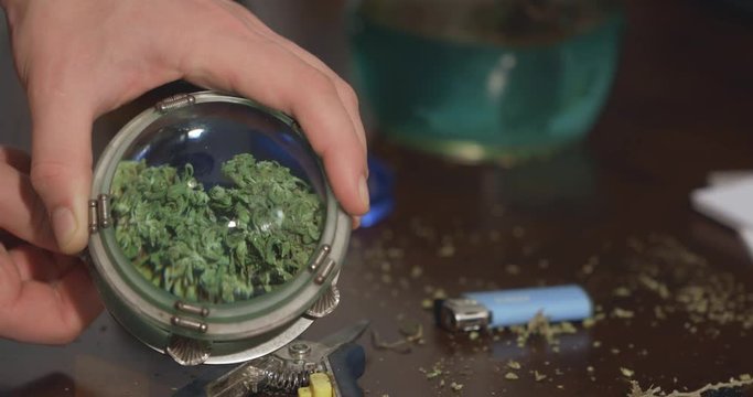 Hands inspect a cannabis bud with a magnifying glass. Drug paraphernalia in the background.