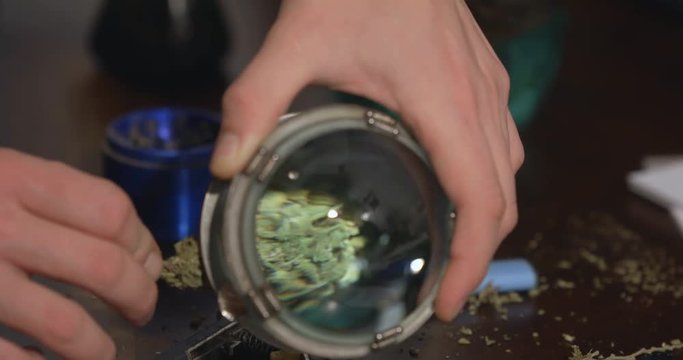 A fresh green marijuana bud is inspected with a magnifying glass, drug paraphernalia in the background.
