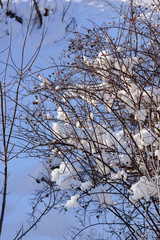 Snowy landscape, Armenia