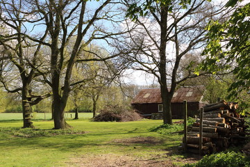Friesland countryside