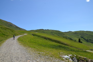 Fototapeta premium Alpen