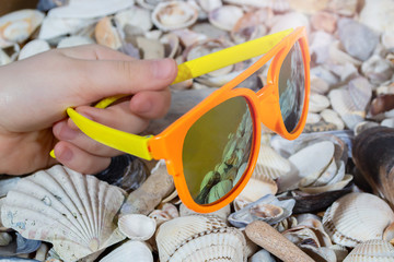 sunglasses on seashells beach summer