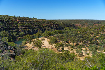 Fototapeta na wymiar murchison river from ross graham lookout, kalbarri national park, western australia 3