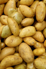 vertical Image of Heap of Fresh Law Potatoes, Top View for Background or Banner