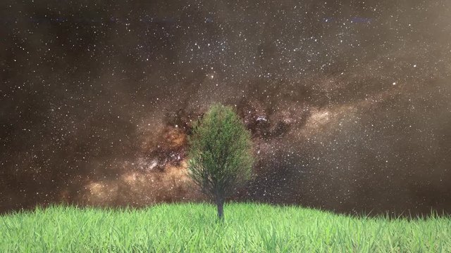 Time lapse growing tree on a hill with grass on the background of the Milky Way