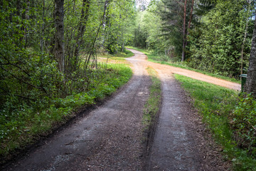 Fototapeta na wymiar two ways crossing in a forest