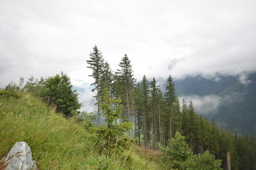 Fototapeta na wymiar Österreicher Alpen