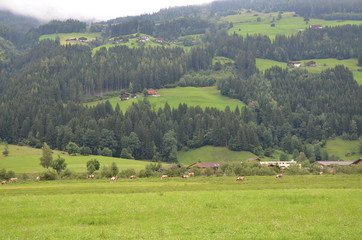 &Ouml;sterreicher  Alpen