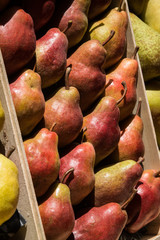Pears on sale in the market of Aix en Provence, France