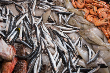 Sanary sur Mer - September 2018: Fresh fish on sale in the market of Sanary sur Mer, France
