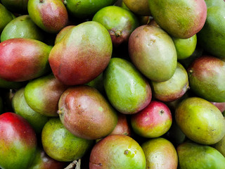mango