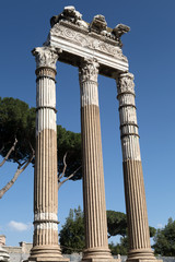 Fototapeta na wymiar Forum of Caesar, ancient Roman temple columns.