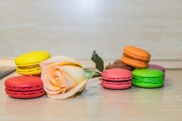 a rose with colorful macaroni cookies selective focus