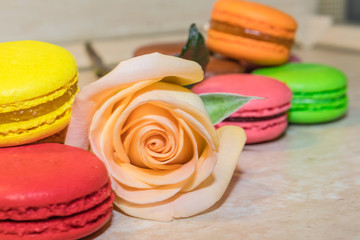 a rose with colorful macaroni cookies selective focus