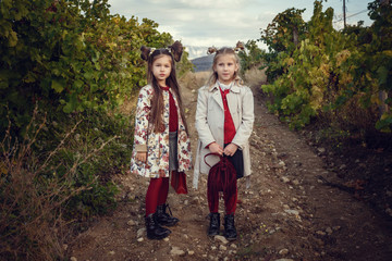 girls in September to harvest vineyards , collect the selected grape bunches
