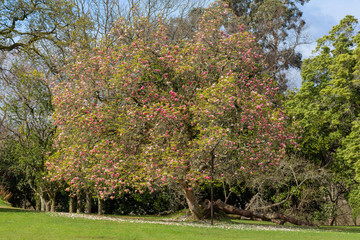 Naklejka premium Gardens of Castrelos