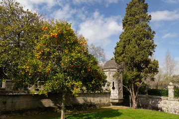Naklejka premium Country house Quiñones de León
