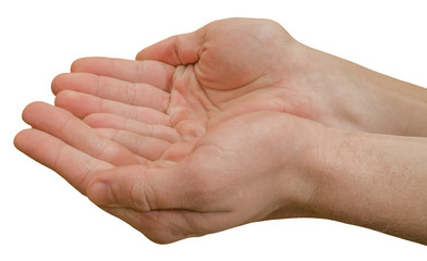 hands isolated on white background