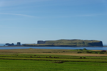 Fototapeta na wymiar Landschaft bei Vik, Island