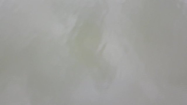 This is a panning up shot in a park in Yangjiang China