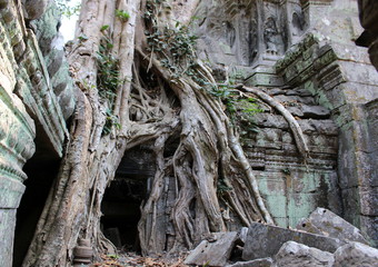 The aerial roots of the tree and the face of the Apsara dancer in Ta Prohm temple, Angkor, Cambodia