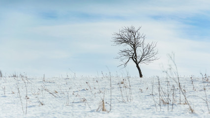 Fototapeta na wymiar Winter landscape on a sunny day in the hills.