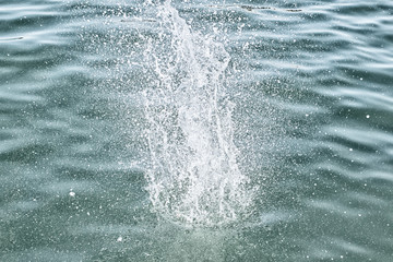 Splash of water with splashes and drops on the sea surface - 253618088