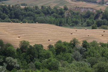 Fototapeta premium toscana