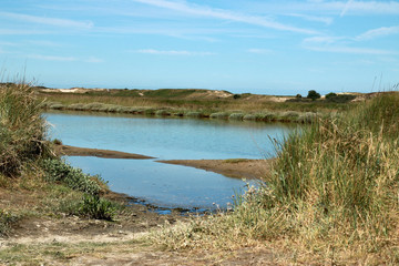 water in the Zwin, border Belgium and  The Netherlands