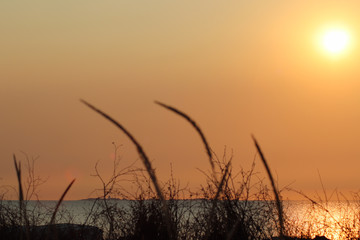 Insel Neuwerk im Abendrot