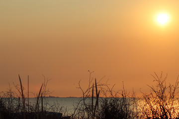 Insel Neuwerk im Abendrot