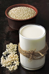 Keto drinks. Sesame milk. Keto diet. Vegan milk. Keto milk.