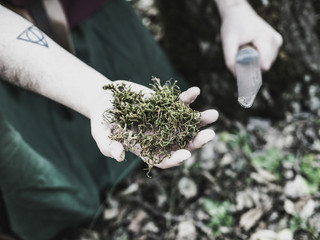 Viking picking up herbs