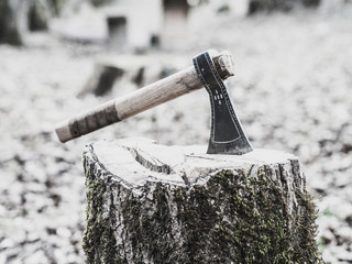 Viking axe planted in a trunk