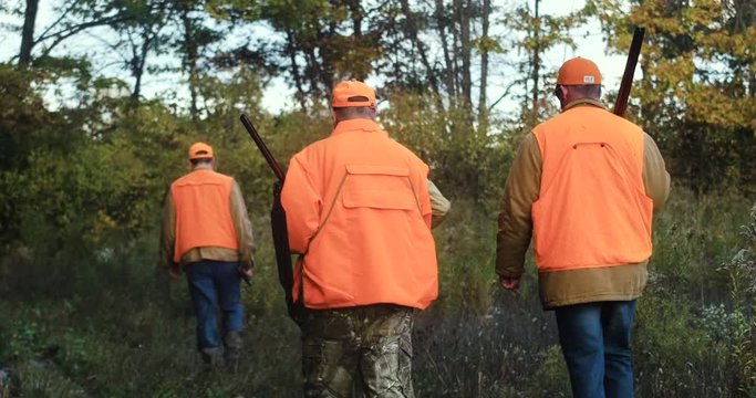 Four men in blaze orange vests carrying rifles walk through the bush while pheasant hunting.