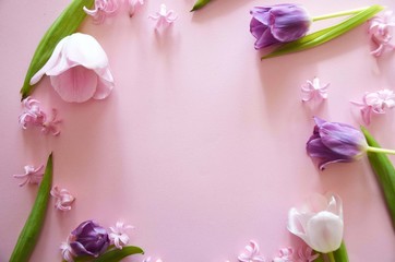 Bouquet of pink tulips on a light background. Holiday card. Beautiful flowers as background