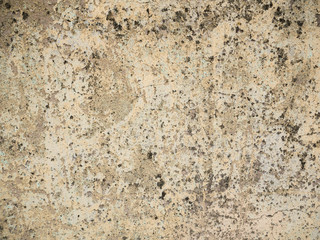 Dirty, old, weathered cement wall with lichen, black mold and dirt