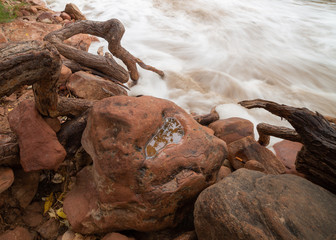 The gnarled roots of a cottonwood tree reach down to the rushing river over and around boulders as a puddle of still water reflects a few leaves from above. 