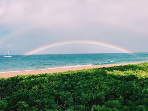 rainbow over the sea