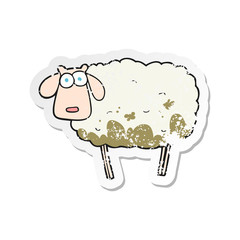 retro distressed sticker of a cartoon muddy sheep