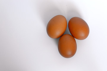 chicken eggs on white background