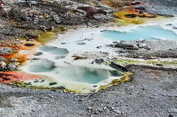Steaming Pools of Hot Water in Yellowstone National Park