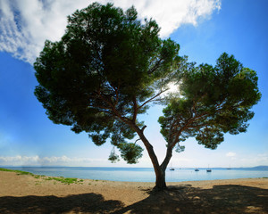 flitterwochen - herz am strand
