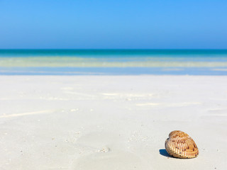 Beautiful landscape of Isla de Holbox, Mexico